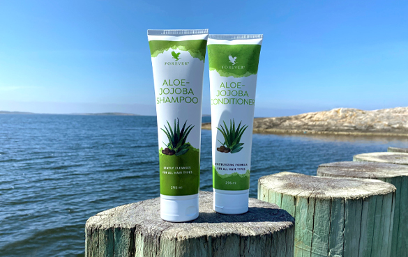 Aloe-Jojoba Shampoo ja Hoitoaine Forever Living Productsilta auttavat sinua ylläpitämään hyvää hiusrutiinia kesällä.